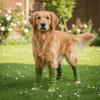 Warm Dog Leg Covers Elastic Knitted Dog Leg Warmer Puppy Leg Protector Pet Socks  Leg Protection