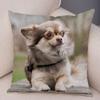 Cute Pet Animal Pillowcase Decorative Cute Puppy Chihuahua Pillowcase Soft Plush Cushion Cover for Car Sofa Home 45x45cm