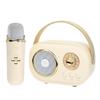Портативный аудио караоке-динамик, микрофон для домашнего использования, совместимый со смартфонами USB-C (цвета слоновой кости)