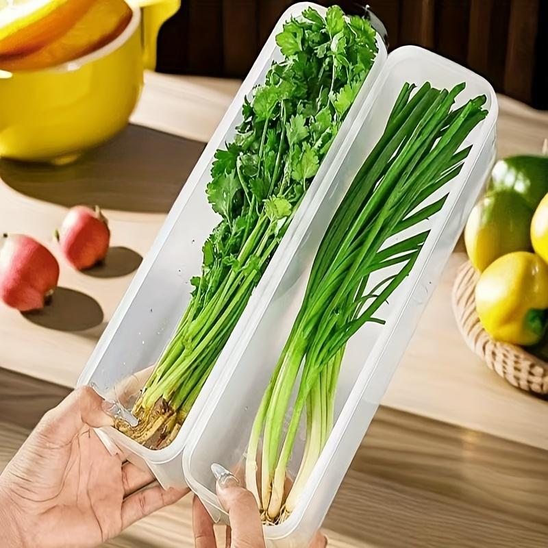 Контейнер для хранения продуктов в холодильнике, артефакт для сохранения свежести продуктов, маленькие контейнеры для хранения продуктов, коробка