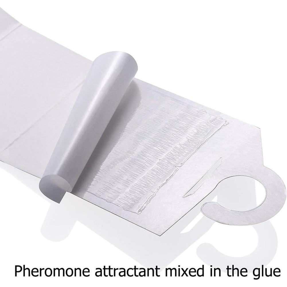5 шт. ловушки для моли с феромонами Prime Мощные ловушки для моли (Зеленый Белый)