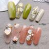 Slices Shell Fragments Ornament Nail Art Abalone Slices Nail Art Decorations