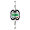 C100 Portable  Scale Fishing  Balance Electronic 150kg   Weighing