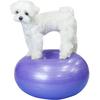 Nanpet укрепление коленной чашечки собаки, пончик, гимнастический мяч, приседание, баланс, мяч, защита от вывиха, фиолетовый, 1 шт.
