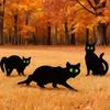 Outdoor Black Cat Halloween Garden Insert Card Decor