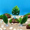 Hammock Resting Oviposition Leaves Aquatic Plants Betta Leaf Fish Tank Plants Simulation