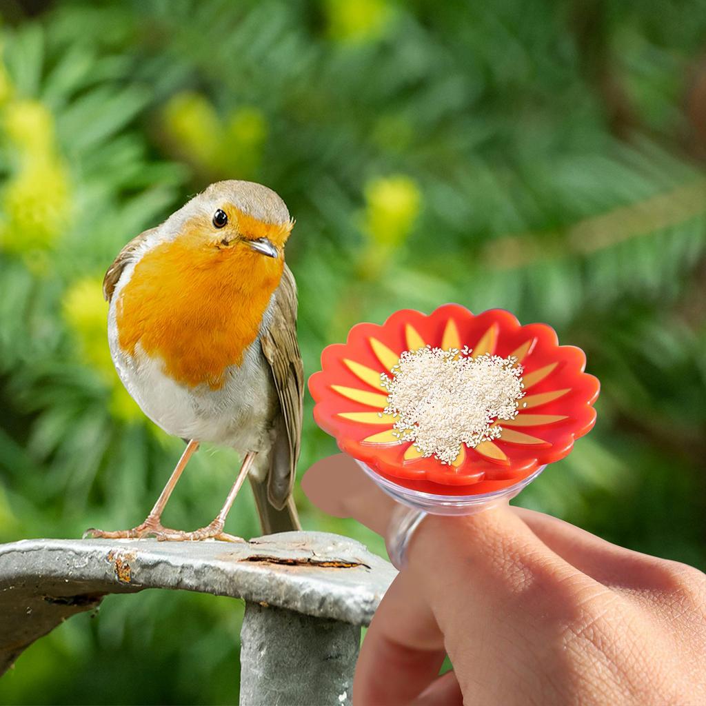 Creative Ring Small Hummingbird Bird Feeder