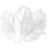 Decorative Feathers - CTOP - Set of 50 - White Color - Height 10 Cm - 100% Natural Feathers