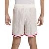 Nike Dri-Fit Giannis Удобные Быстросохнущие Дышащие Шорты для Баскетбола Средней Посадки Облегающие Мужские шорты Парусный-Белый Белый FZ0828133