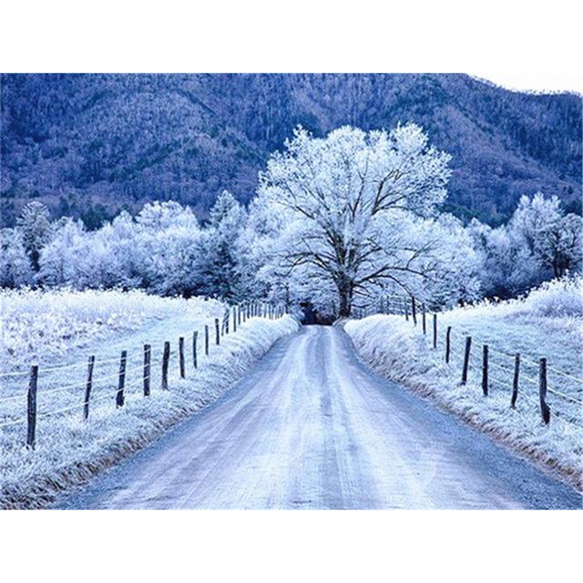 5D DIY алмазная живопись Зимний снежный пейзаж полный квадратный алмаз ремесло украшение дома подарок набор для вышивки крестом мозаичный узор