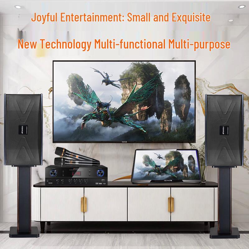 SANSUI PK06 Профессиональная домашняя аудиосистема KTV и для конференций (Китайская версия)