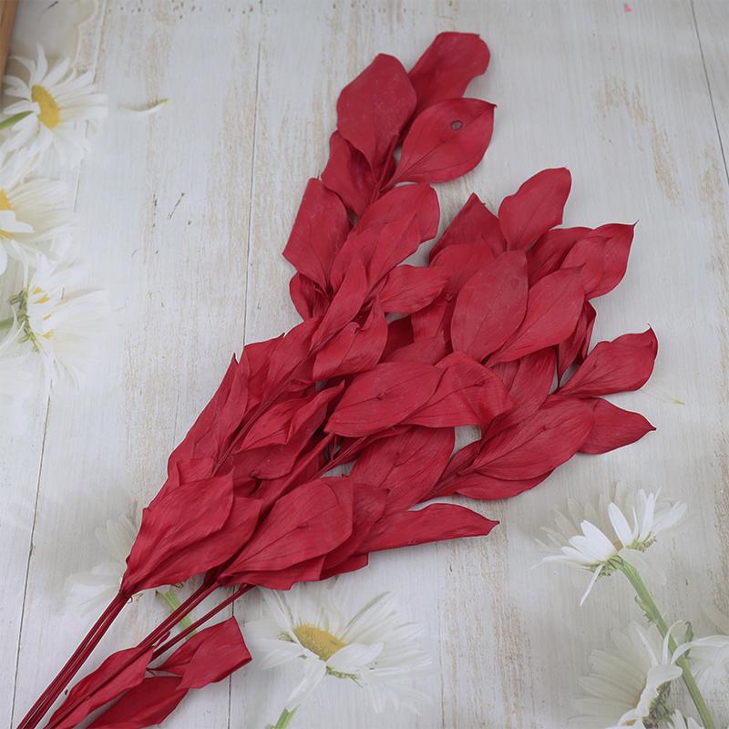 DIY Floral Art Ornament: Preserved Tangerine & Fishtail Leaf, Lily, Bamboo Dried Flowers – Ikebana Photo Prop for Home Décor.