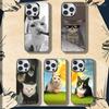 Милый кошачий мем Чехол для телефона Для iPhone 16,15,14,13,12,11,8,7,Pro,Max,Plus,Mini,XS,SE Ударопрочный Матовый чехол