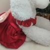 Thin Summer Pet Clothes Big Bow Pet Princess Dress Cute Pet Dog Skirt