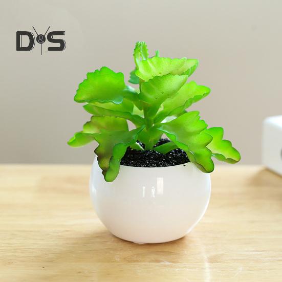 Пластиковые искусственные сочные анти-выцветания красивые маленькие поддельные растения в горшках настольные украшения