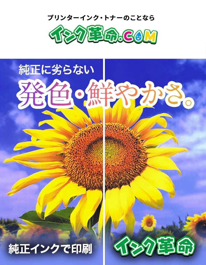 Ink Compatible Canon Ink Compatible with Genuine Canon 326 and 325 Series Includes IC Level Detection Compatible with PIXUS and MG8230 Printers