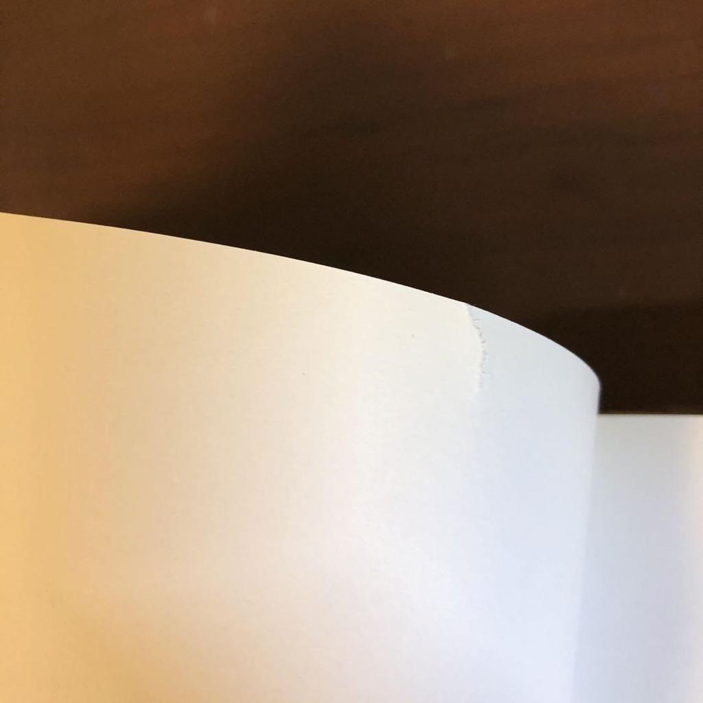 [ИСПОЛЬЗОВАННЫЙ] Лартиг: Книга с фотографиями «Жизнь в цвете» (английский)