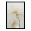 Delikatne Kwiaty W Linii Delikatne Kwiaty W Linii, 30X40 Cm, Rama Aluminiowa Czarna, Papier Matowy 230 Gsm