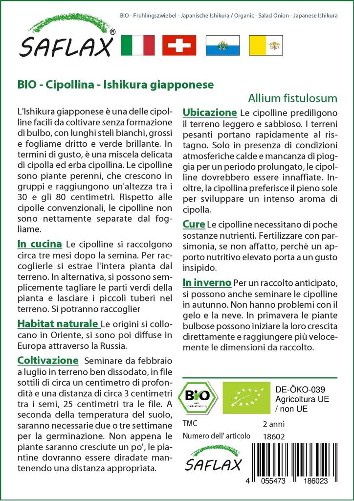 SAFLAX Gift Set - Organic - Salad Onion - Japanese Ishikura - 150 Seeds - With Gift Box, Card, Label and Potting Substrate - Allium Fistulosum