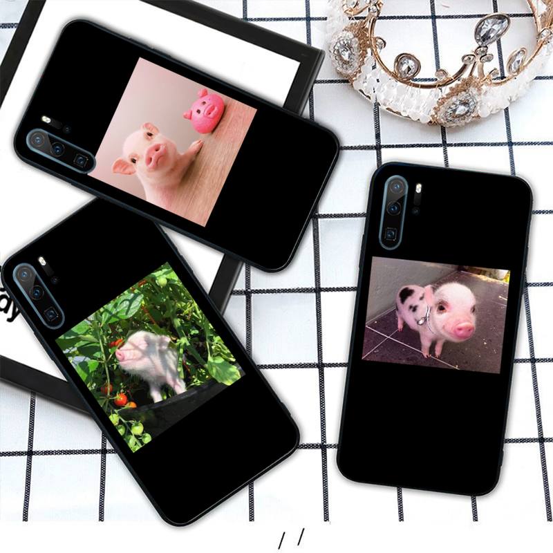 Pet Pig Aesthetically Interesting Pattern Phone Case For Huawei Honor Mate P 10 20 30 40 I 9 8 Pro X Lite Smart 2019 Nova 5t