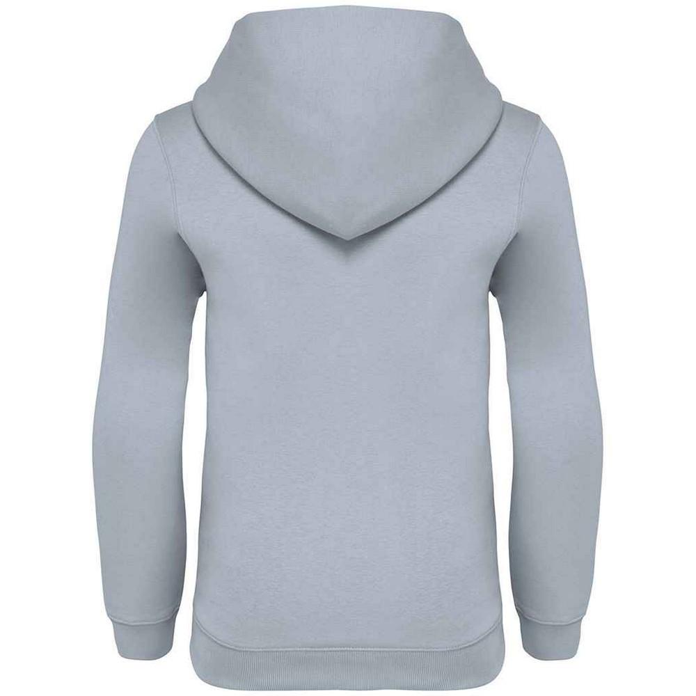 Детская/детская толстовка с капюшоном Native Spirit