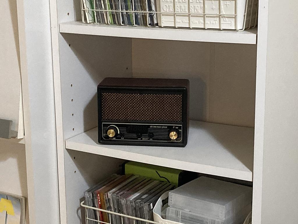 FESCO Shoka Radio DX100 Music Player with Radio AM/FM SRDX-001