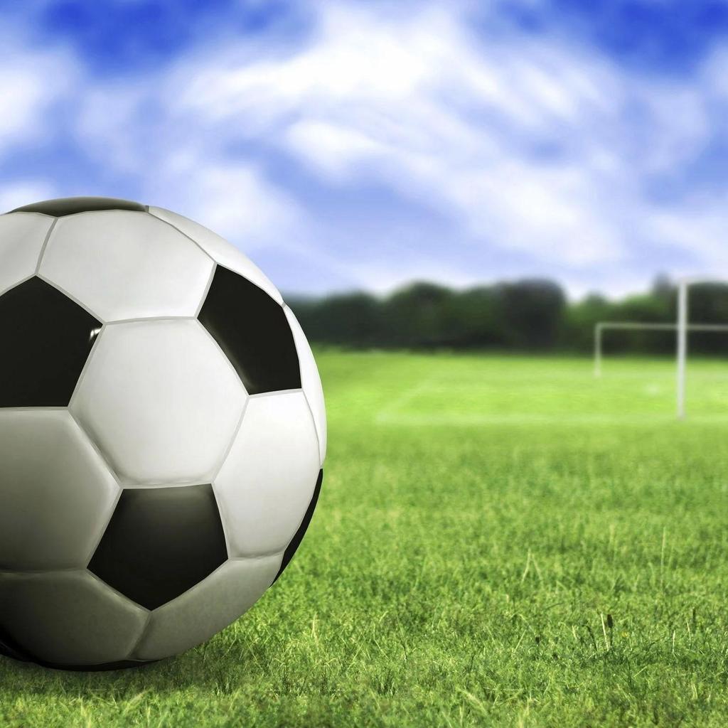 ТАИЛАНД Национальный футбол Футбольная тренировка ДЖЕРСИ CHEER Фанатская версия Быстросохнущая рубашка Поло Полиэстер Униформа с короткими рукавами Логотип слона Спорт на открытом воздухе