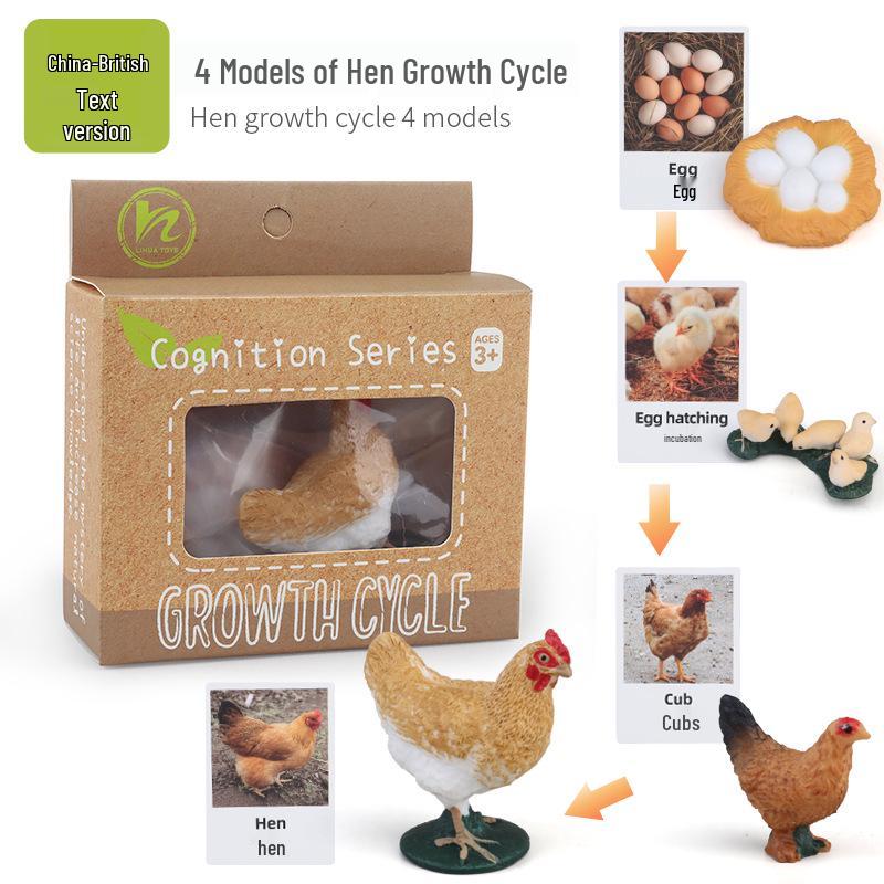 Montessori Animal & Plant Growth Cycle Teaching Toys for Kids