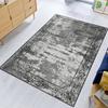 Washable Printed Carpet LNA1517-SD309