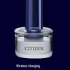 Citizen EHS529 Sonic Electric Toothbrush