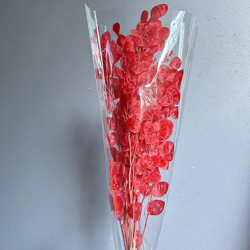 Сухоцвет серебряный веер, белый цветок, украшение для дома своими руками, букет, натуральный настоящий цветок, сухоцвет серебряный веер, бессмертный цветок