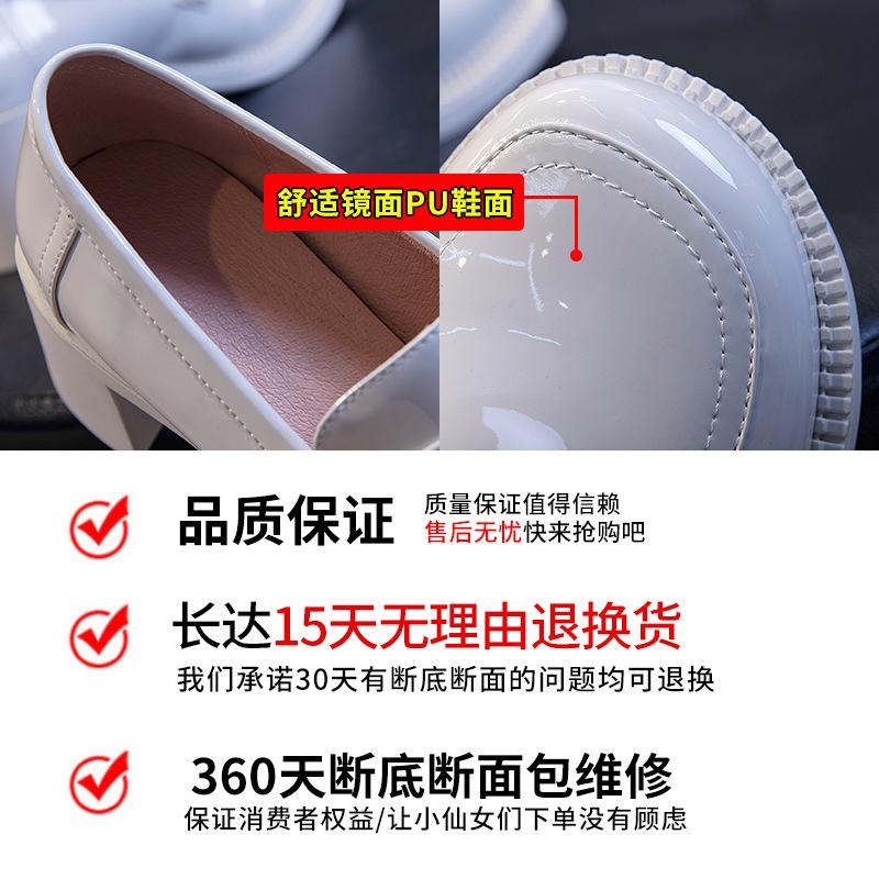 Single Shoes Women's 2025 New Spring Casual Thick Heels Women's Mary Jane Shoes Women's Shallow Mouth Women's Shoes