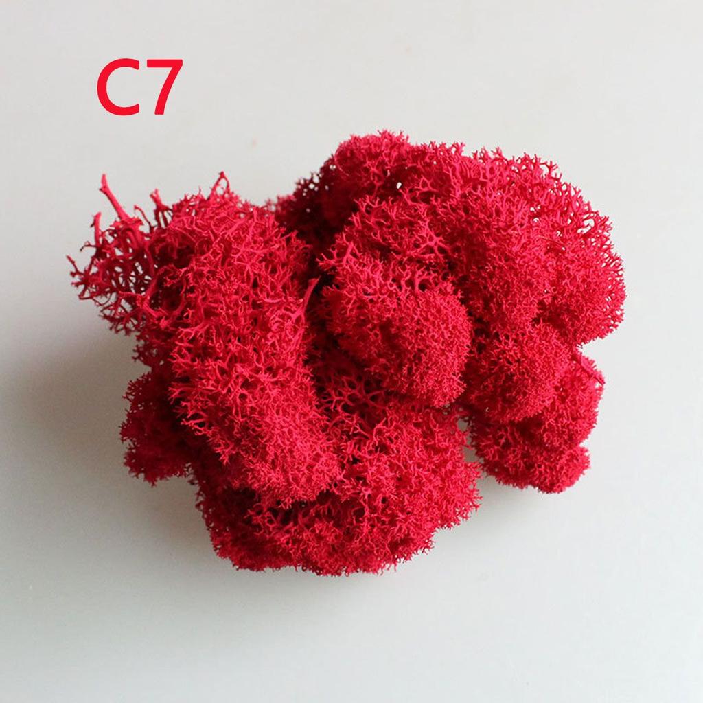 Украшение Рождественский цветок Искусственное растение Мох олений Вечный мох Микроландшафт