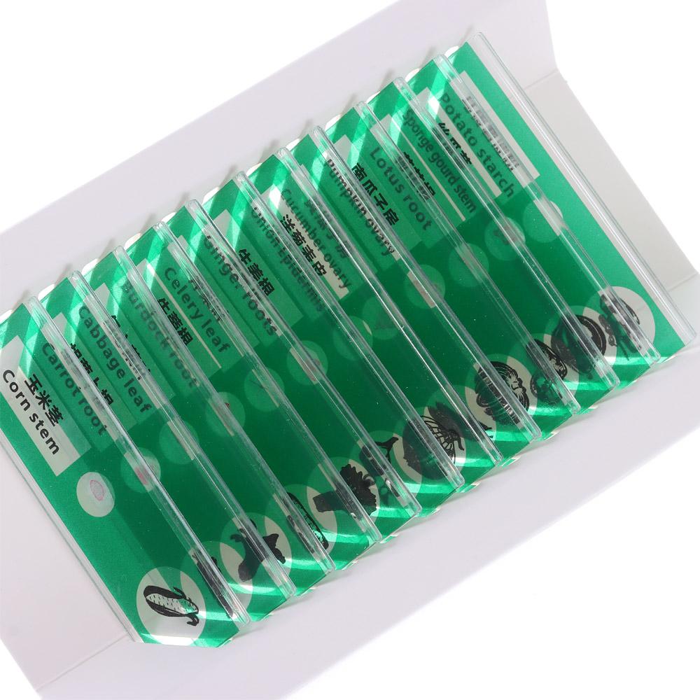 Пластиковые образцы для микроскопа. Подготовленные предметные стекла. Образцы образцов. Слайды для микроскопа. Студенты. Дети.