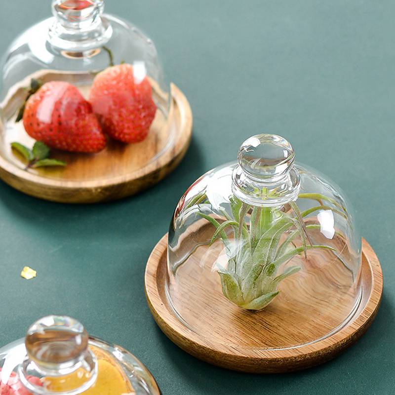 10,5 см деревянные подставки для торта с купольной крышкой, стеклянная подставка с крышкой, подставка для десерта, поднос для хранения фруктов и закусок, домашняя кухня, инструменты для торта