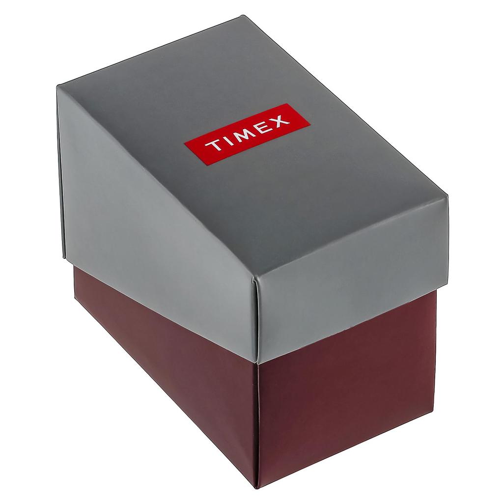 Часы Easy Reader T20031 Silver [TIMEX]