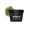 LUSH Lush Herbalism 100g Fresh Cleanser Cleansing Vegan Cosmetics, 1 Piece