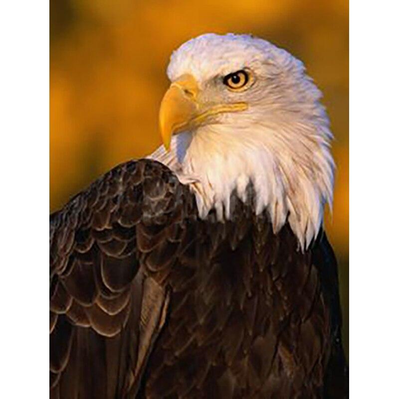 5D DIY Алмазная картина Белоголовый орлан Алмазная вышивка животных вышивка крестиком полная круглая дрель ремесла ручной домашний декор подарок