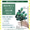 Artificial Sakaki Trees, Never Wither, Perfect for Shinto Altars, Realistic, Thick, Glossy, and Firm Leaves, Assembled in Japan by Hanako, Artificial
