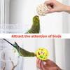 3Pcs Colorful Chew Balls for Small Birds Parrots Cockatiels Finches Beak Grinding Foraging Training Bird
