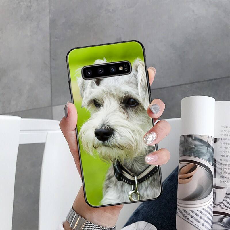 Чехол для телефона с изображением щенка шнауцера для Samsung Galaxy S22 S20 Ultra S20 S22 Plus S21 S10 S9 S8 Plus S10E S20 FE