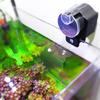 Pet Supplies Aquatic Automatic Fish Feeder Aquarium Timer Fish Food Dispenser Feeding Device