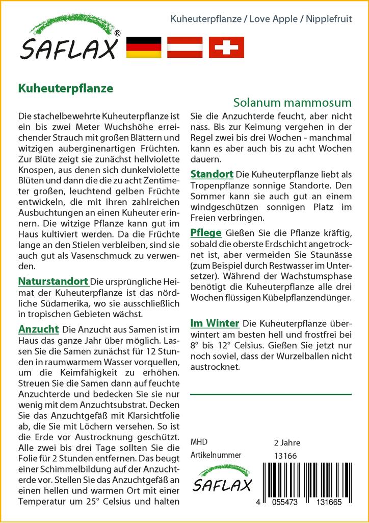 SAFLAX Love Apple / Nipplefruit - 10 семян - Solanum mammosum