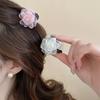 Double-sided Mesh Yarn Flower Acrylic Hairpin Women's Fashion Simple Small Grab Clip Cute Versatile Headgear Hair Accessories High Sense
