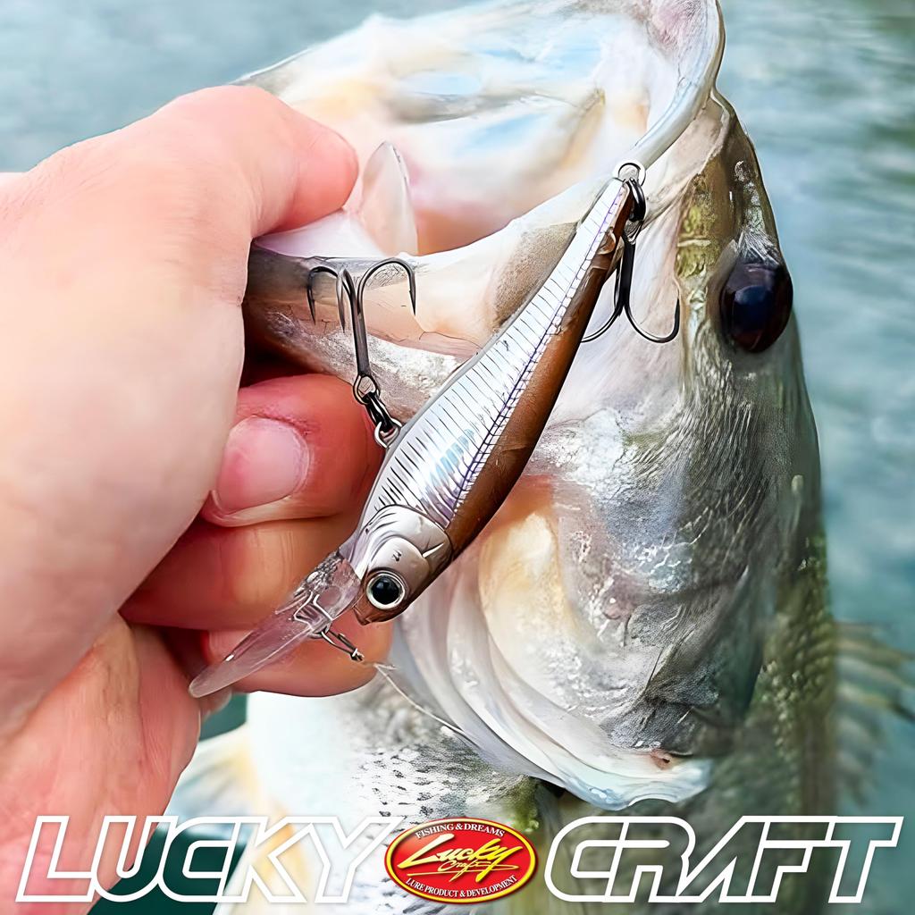 LUCKY CRAFT Baby Shad 60SP Обычный тип Рыболовная приманка RP Pro (5238 Синий)