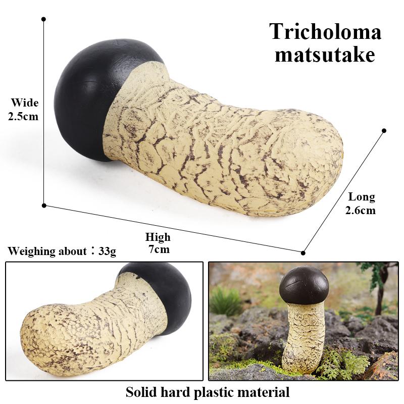 Oenux Игрушка для ролевых игр Милые фрукты Овощи Модель гриба Топперы для торта Еда Жуэ Семейное веселье Раннее образование для детей Подарок