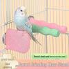 Parrot Perch: Small Bird Claw and Beak Grinder with Resting Platform and Chew Toy