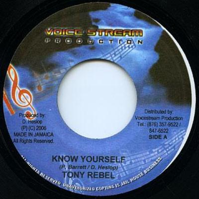7-дюймовая пластинка TONY REBEL - Know Yourself Voice Stream 2006 Ямайка Регги, Ска и Даб