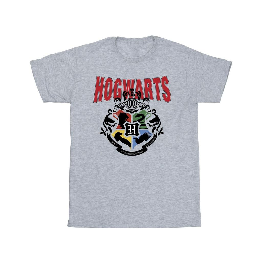 Harry Potter Mens Hogwarts Emblem T-Shirt