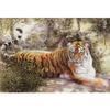 5D Diy Алмазная картина Тигр в картине Алмазная вышивка Крестом Домашний декор Подарки ручной работы